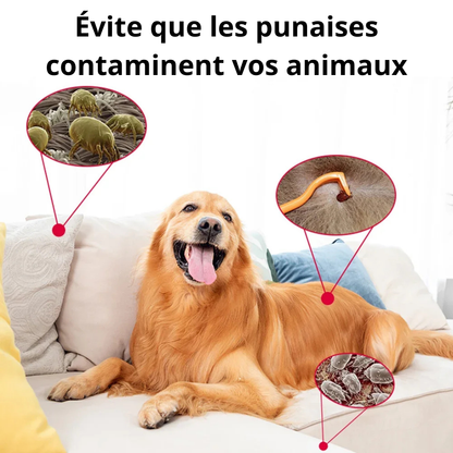 Housse de Matelas Anti-Punaises de lit