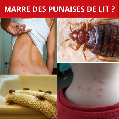 Housse de Matelas Anti-Punaises de lit