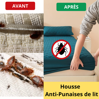 Housse de Matelas Anti-Punaises de lit