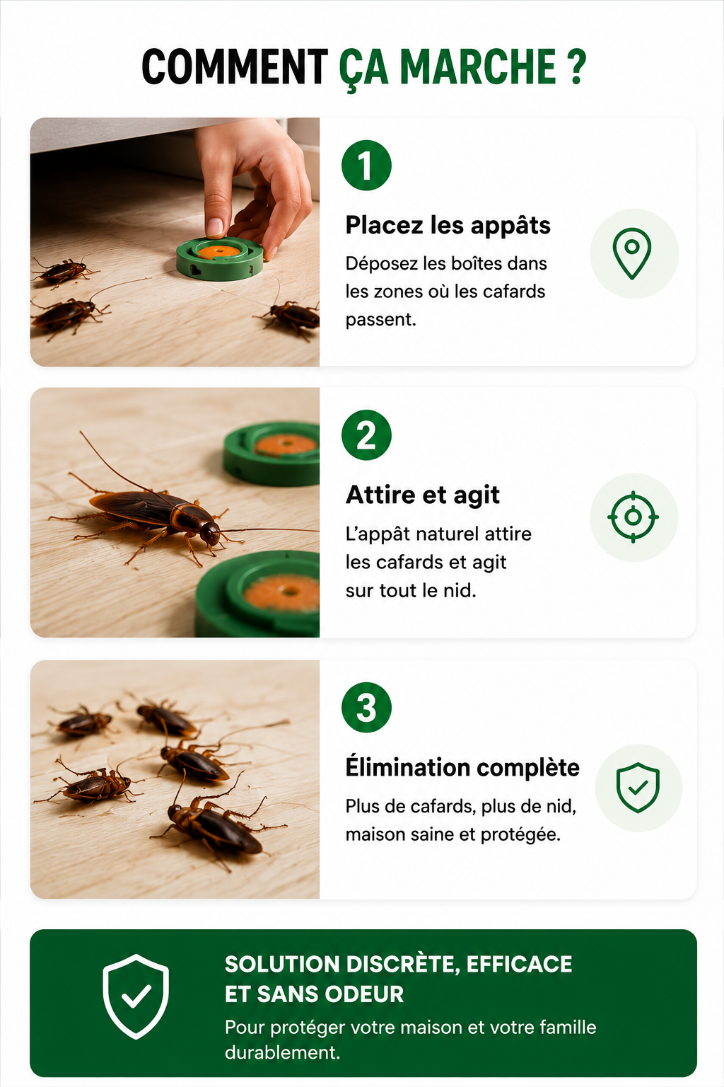 Répulsif contre les cafards