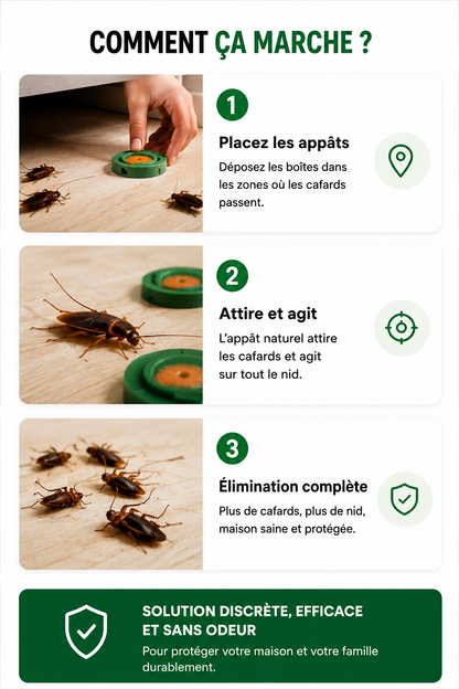 Répulsif contre les cafards