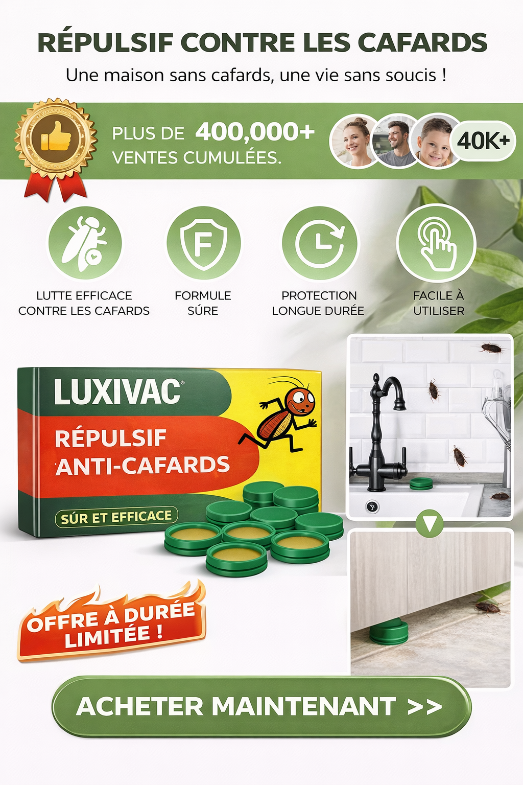 Répulsif contre les cafards