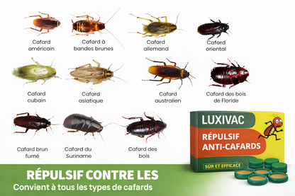 Répulsif contre les cafards