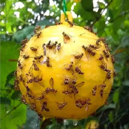 Piège Anti-Mouches Ultra Efficace