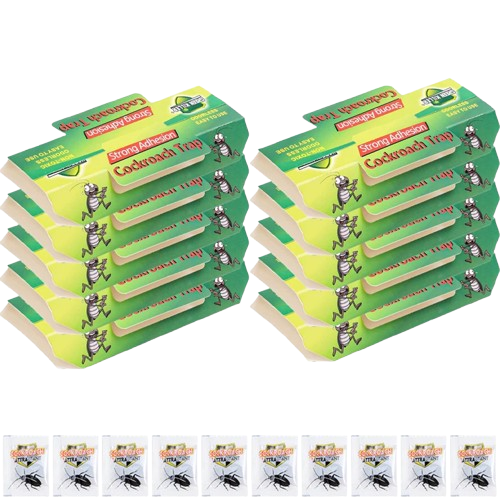 Piège à Cafards collants