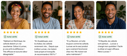 Répulsif contre les cafards
