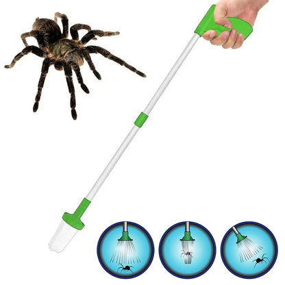 Attrape-Insectes & Araignées
