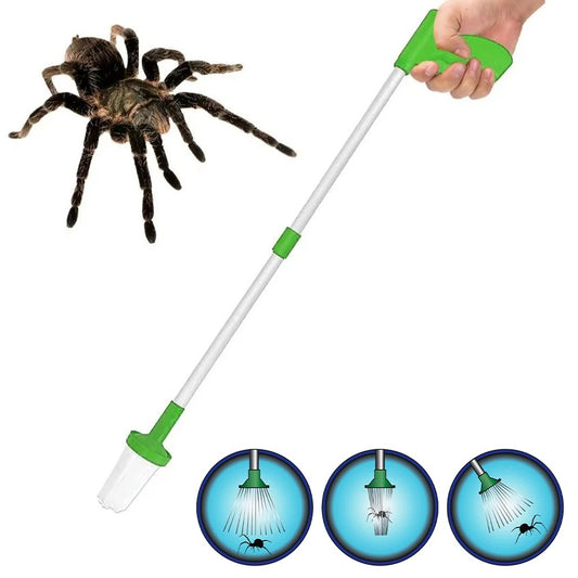 Attrape-Insectes & Araignées