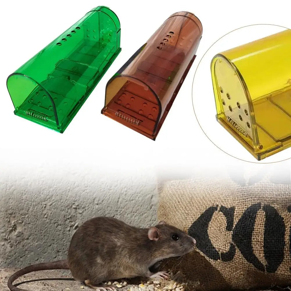Piège à Souris – Capture Immédiate & Efficace
