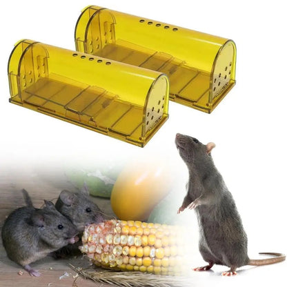 Piège à Souris – Capture Immédiate & Efficace