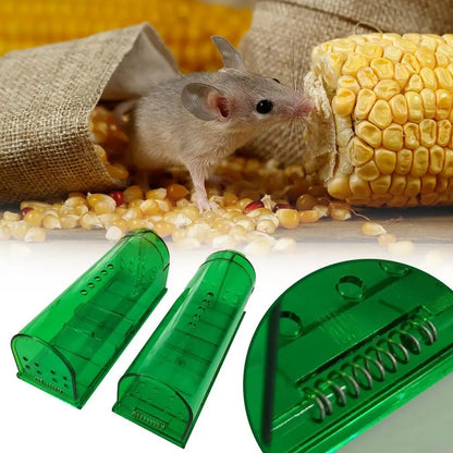 Piège à Souris – Capture Immédiate & Efficace