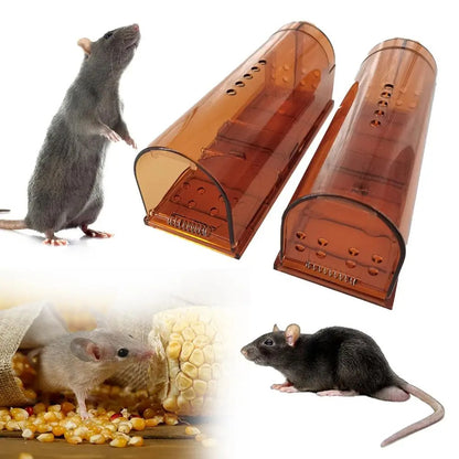 Piège à Souris – Capture Immédiate & Efficace